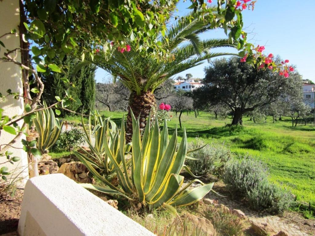 Quinta Mimosa Hotel Loule Room photo